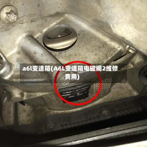 a6l变速箱(A6L变速箱电磁阀2维修费用)-第3张图片