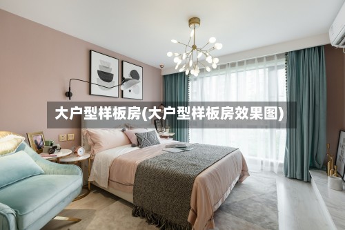 大户型样板房(大户型样板房效果图)