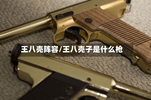 王八壳阵容/王八壳子是什么枪-第2张图片