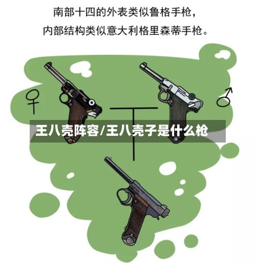 王八壳阵容/王八壳子是什么枪