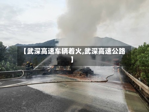 【武深高速车辆着火,武深高速公路】