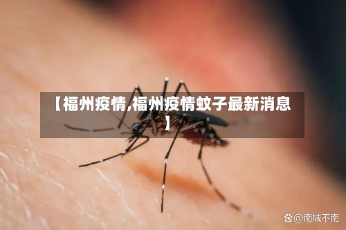 【福州疫情,福州疫情蚊子最新消息】