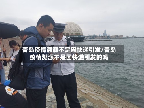 青岛疫情溯源不是因快递引发/青岛疫情溯源不是因快递引发的吗
