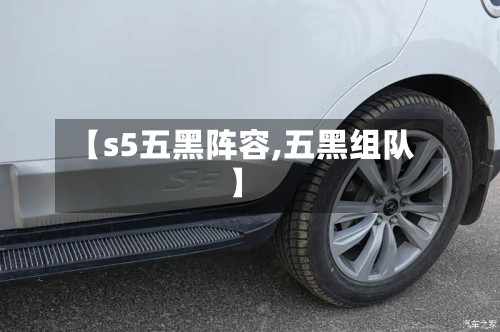 【s5五黑阵容,五黑组队】-第2张图片