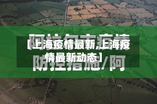 【上海疫情最新,上海疫情最新动态】-第3张图片