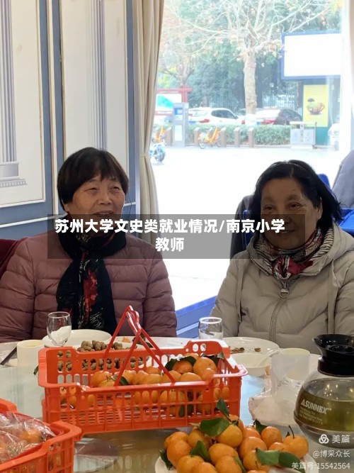 苏州大学文史类就业情况/南京小学教师