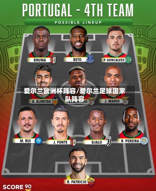 爱尔兰欧洲杯阵容/爱尔兰足球国家队阵容