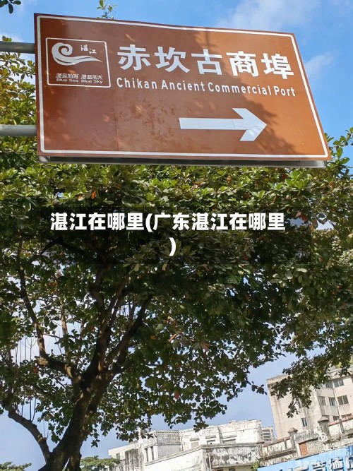 湛江在哪里(广东湛江在哪里)-第2张图片