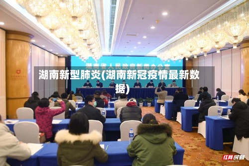 湖南新型肺炎(湖南新冠疫情最新数据)-第3张图片