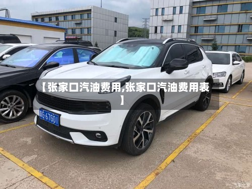 【张家口汽油费用,张家口汽油费用表】-第3张图片