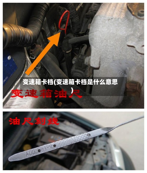 变速箱卡档(变速箱卡档是什么意思)-第2张图片