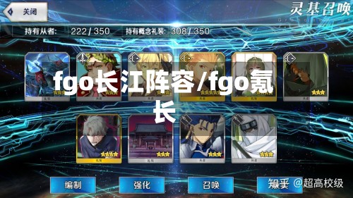 fgo长江阵容/fgo氪长-第3张图片