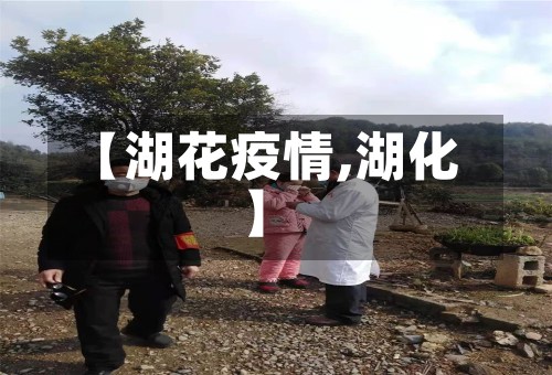 【湖花疫情,湖化】-第2张图片