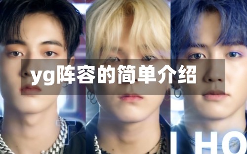 yg阵容的简单介绍-第2张图片