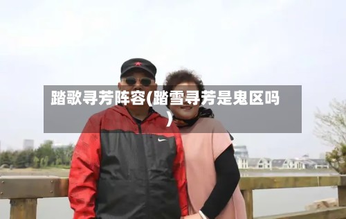 踏歌寻芳阵容(踏雪寻芳是鬼区吗)-第2张图片