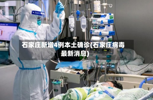 石家庄新增4例本土确诊(石家庄病毒最新消息)-第2张图片