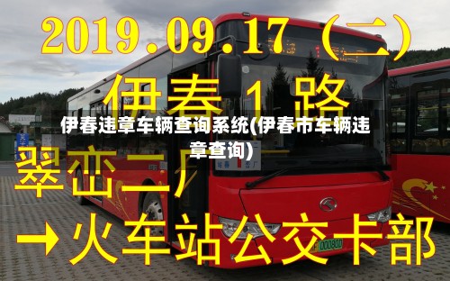 伊春违章车辆查询系统(伊春市车辆违章查询)