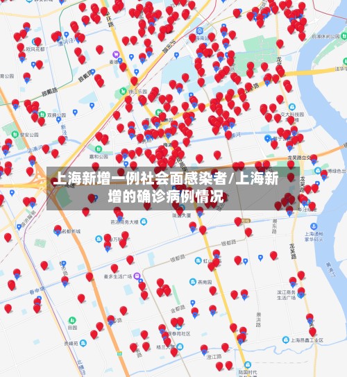 上海新增一例社会面感染者/上海新增的确诊病例情况-第3张图片
