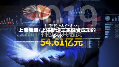 上海新增/上海新增三家融资成功的企业