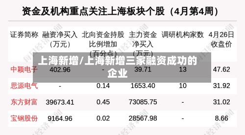上海新增/上海新增三家融资成功的企业-第3张图片