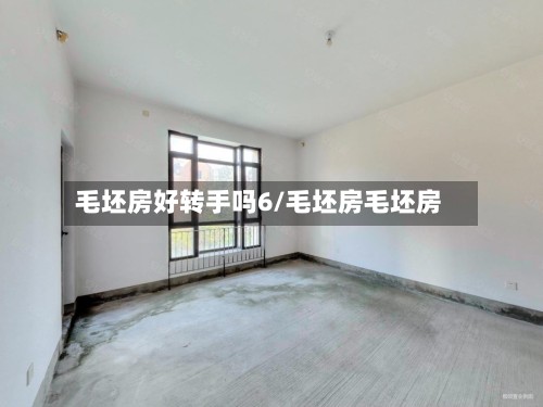 毛坯房好转手吗6/毛坯房毛坯房-第2张图片