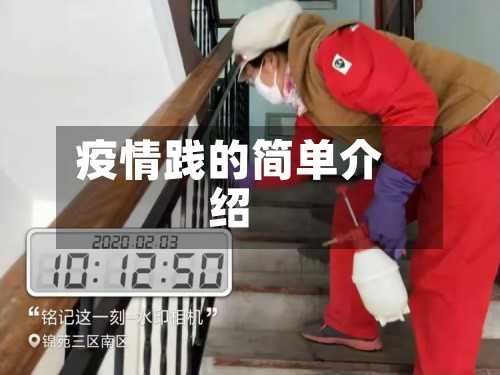 疫情践的简单介绍-第3张图片