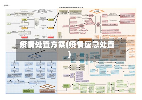 疫情处置方案(疫情应急处置)