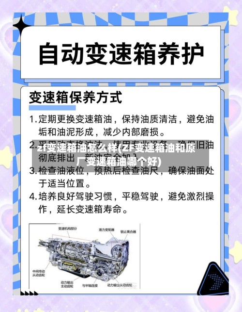 zf变速箱油怎么样(ZF变速箱油和原厂变速箱油哪个好)-第3张图片