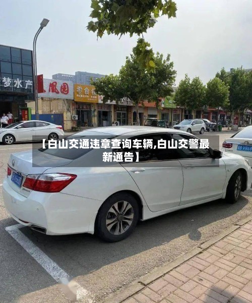 【白山交通违章查询车辆,白山交警最新通告】-第2张图片