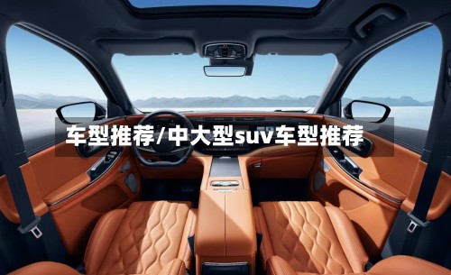 车型推荐/中大型suv车型推荐
