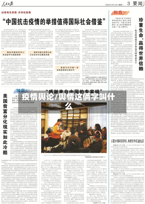 疫情舆论/舆情这俩字叫什么-第2张图片