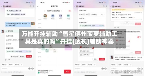 万能开挂辅助“智星德州菠萝辅助工具是真的吗	”开挂(透视)辅助神器-第3张图片