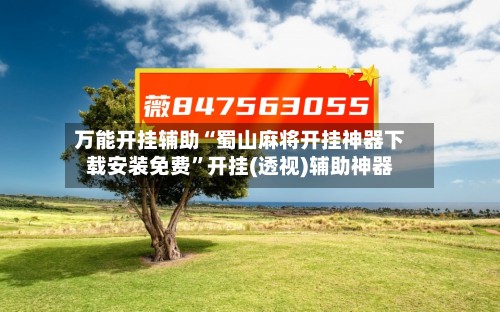 万能开挂辅助“蜀山麻将开挂神器下载安装免费”开挂(透视)辅助神器-第3张图片