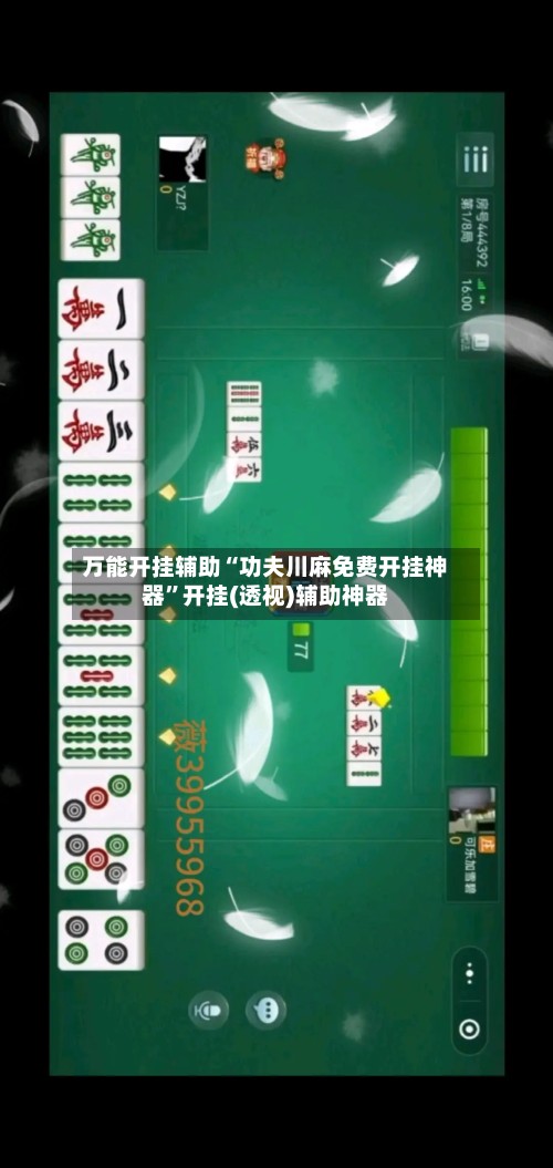 万能开挂辅助“功夫川麻免费开挂神器”开挂(透视)辅助神器-第3张图片