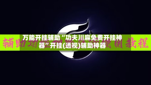 万能开挂辅助“功夫川麻免费开挂神器”开挂(透视)辅助神器-第2张图片