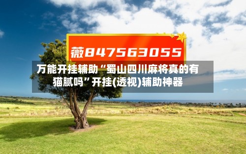 万能开挂辅助“蜀山四川麻将真的有猫腻吗”开挂(透视)辅助神器-第3张图片
