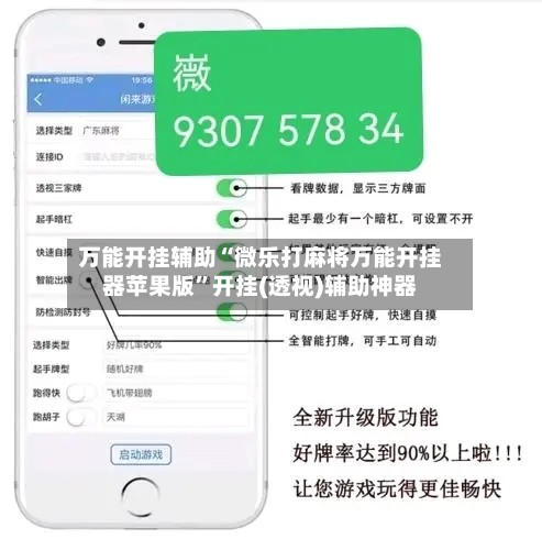 万能开挂辅助“微乐打麻将万能开挂器苹果版”开挂(透视)辅助神器-第2张图片