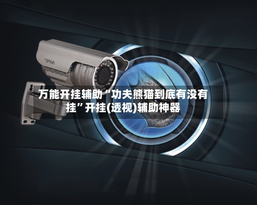 万能开挂辅助“功夫熊猫到底有没有挂”开挂(透视)辅助神器-第3张图片