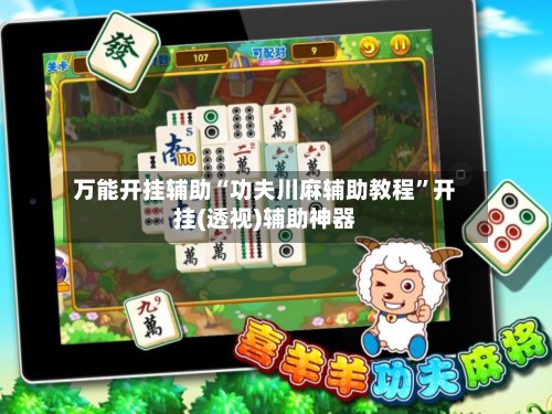 万能开挂辅助“功夫川麻辅助教程”开挂(透视)辅助神器-第3张图片