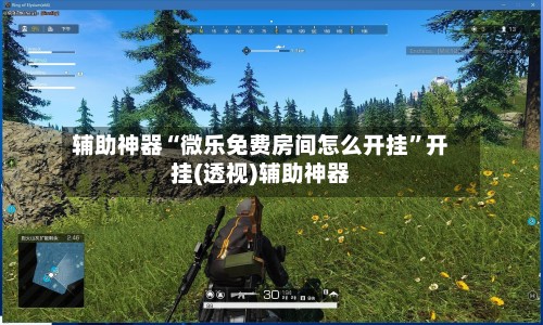 辅助神器“微乐免费房间怎么开挂”开挂(透视)辅助神器-第2张图片