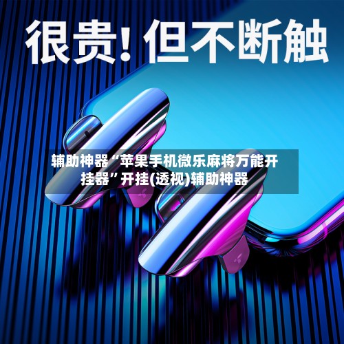 辅助神器“苹果手机微乐麻将万能开挂器”开挂(透视)辅助神器-第2张图片