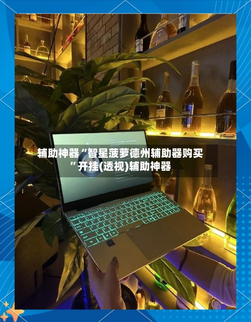 辅助神器“智星菠萝德州辅助器购买”开挂(透视)辅助神器-第2张图片