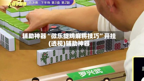 辅助神器“微乐捉鸡麻将技巧”开挂(透视)辅助神器-第2张图片