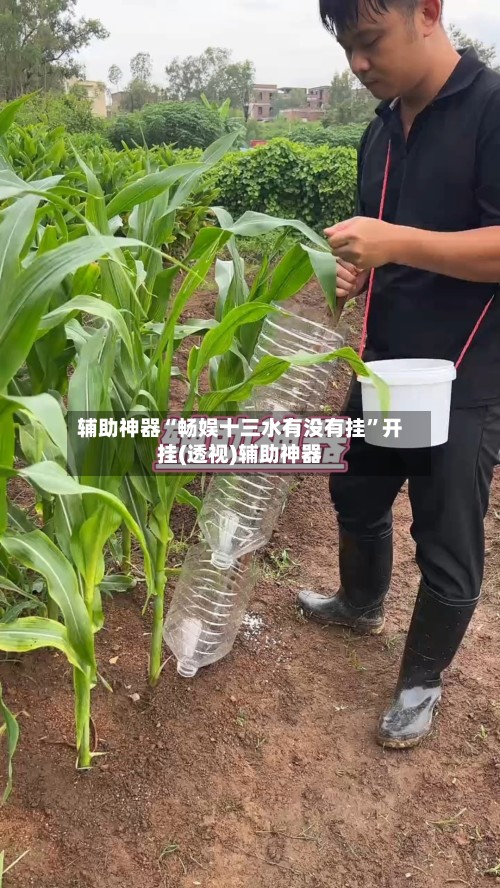 辅助神器“畅娱十三水有没有挂	”开挂(透视)辅助神器-第2张图片