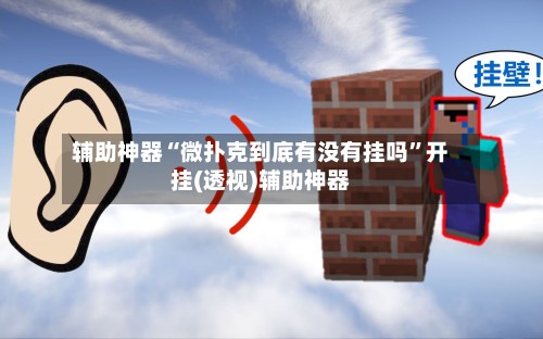 辅助神器“微扑克到底有没有挂吗”开挂(透视)辅助神器