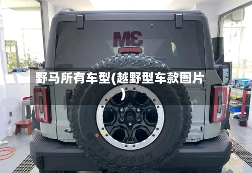 野马所有车型(越野型车款图片)