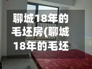 聊城18年的毛坯房(聊城18年的毛坯房费用)
