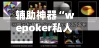 辅助神器“wepoker私人局有挂吗”开挂(透视)辅助神器-第2张图片