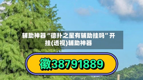 辅助神器“德扑之星有辅助挂吗	”开挂(透视)辅助神器-第2张图片
