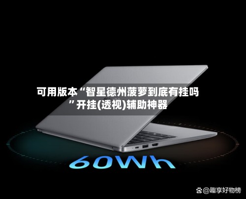 可用版本“智星德州菠萝到底有挂吗	”开挂(透视)辅助神器-第2张图片